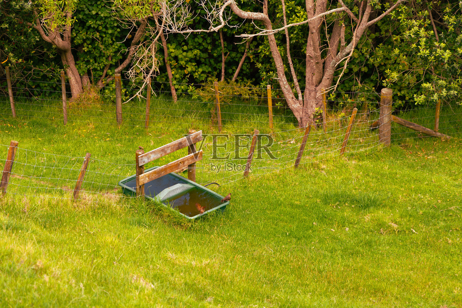 牧场围栏旁的乡村水槽照片摄影图片