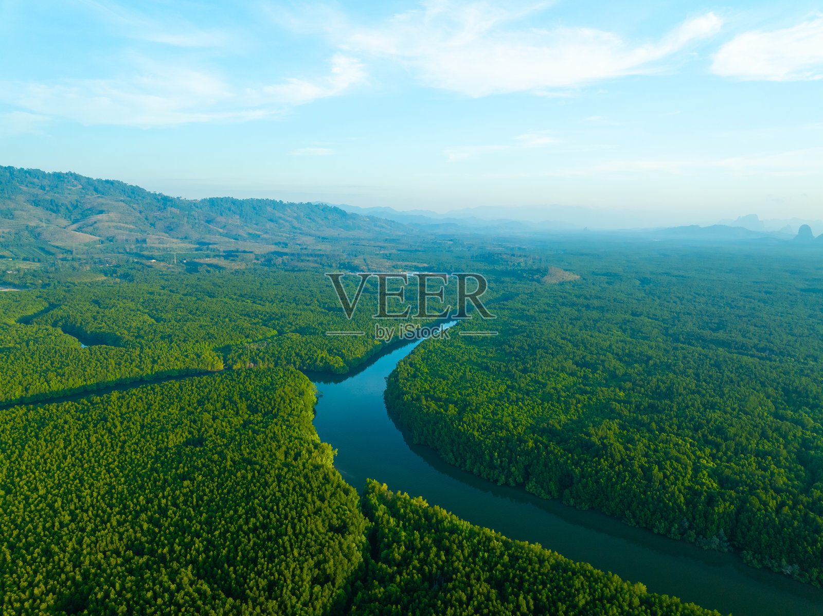 红树林树木俯视视角，令人惊叹的绿色自然森林背景照片摄影图片