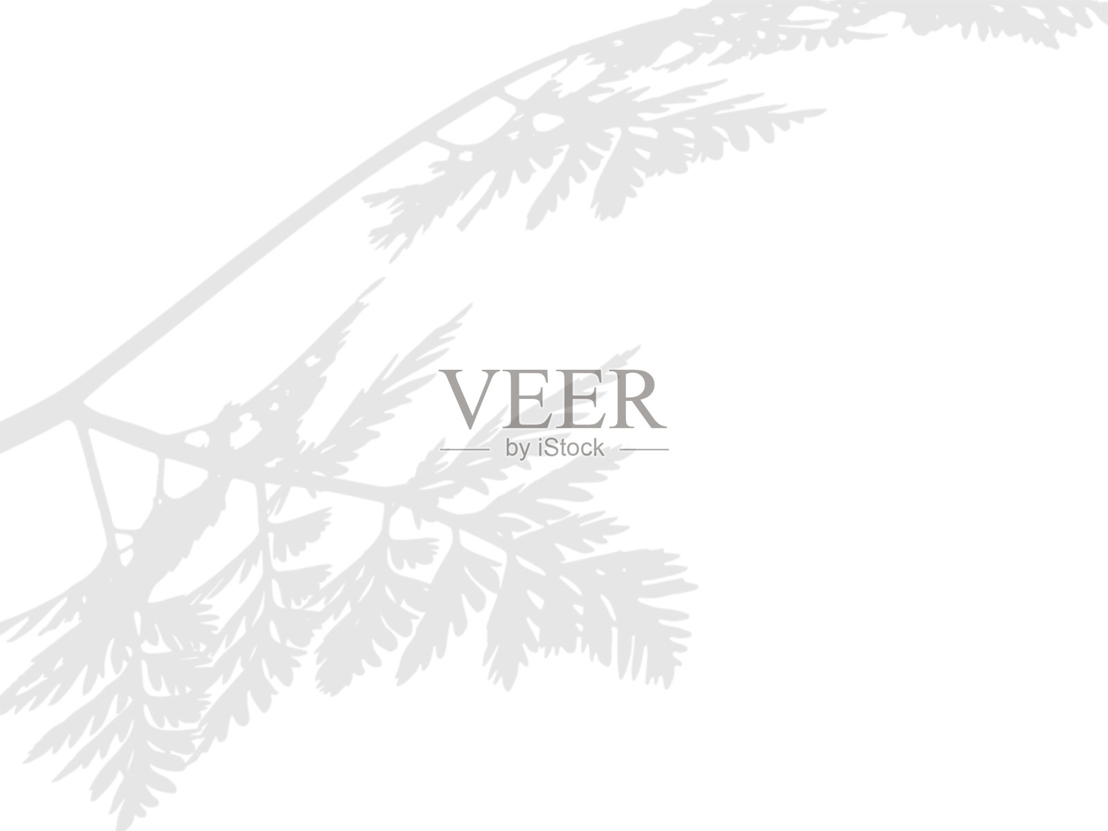 透明背景上的植物叶子阴影叠加插画图片素材