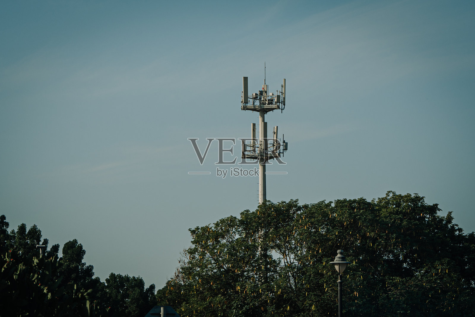 在晴朗蓝天下，一座拥有天线的通信塔高耸于郁郁葱葱的绿树之上，展示了城市环境中现代化的电信基础设施，并留有复制空间照片摄影图片