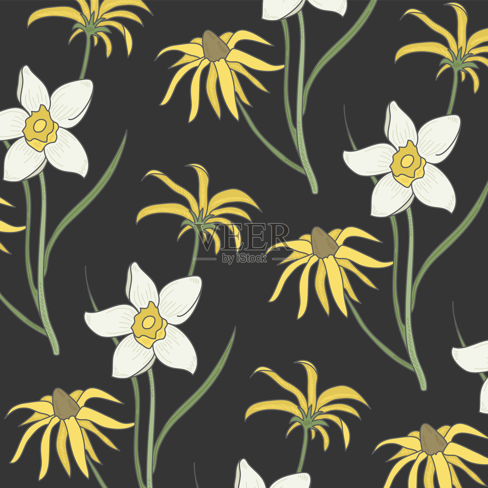 优雅线条花朵与彩色背景元素套装2插画图片素材