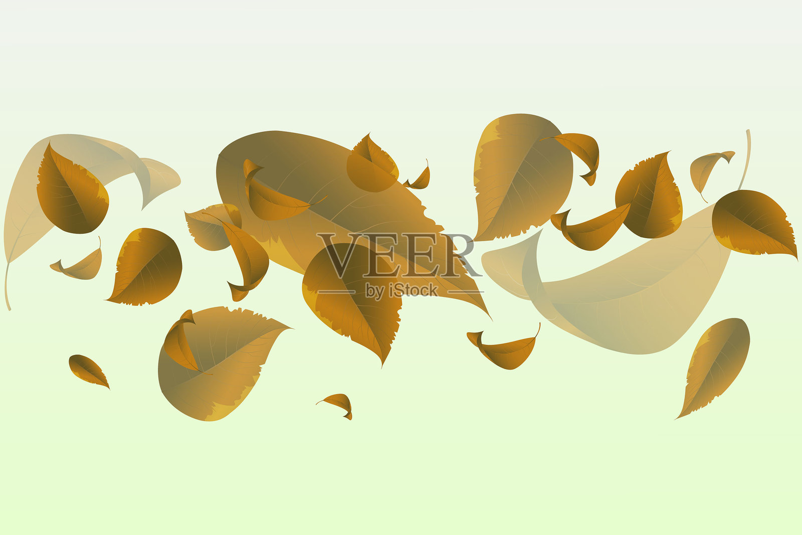 秋季落叶构成，色调温暖偏黄。插画图片素材