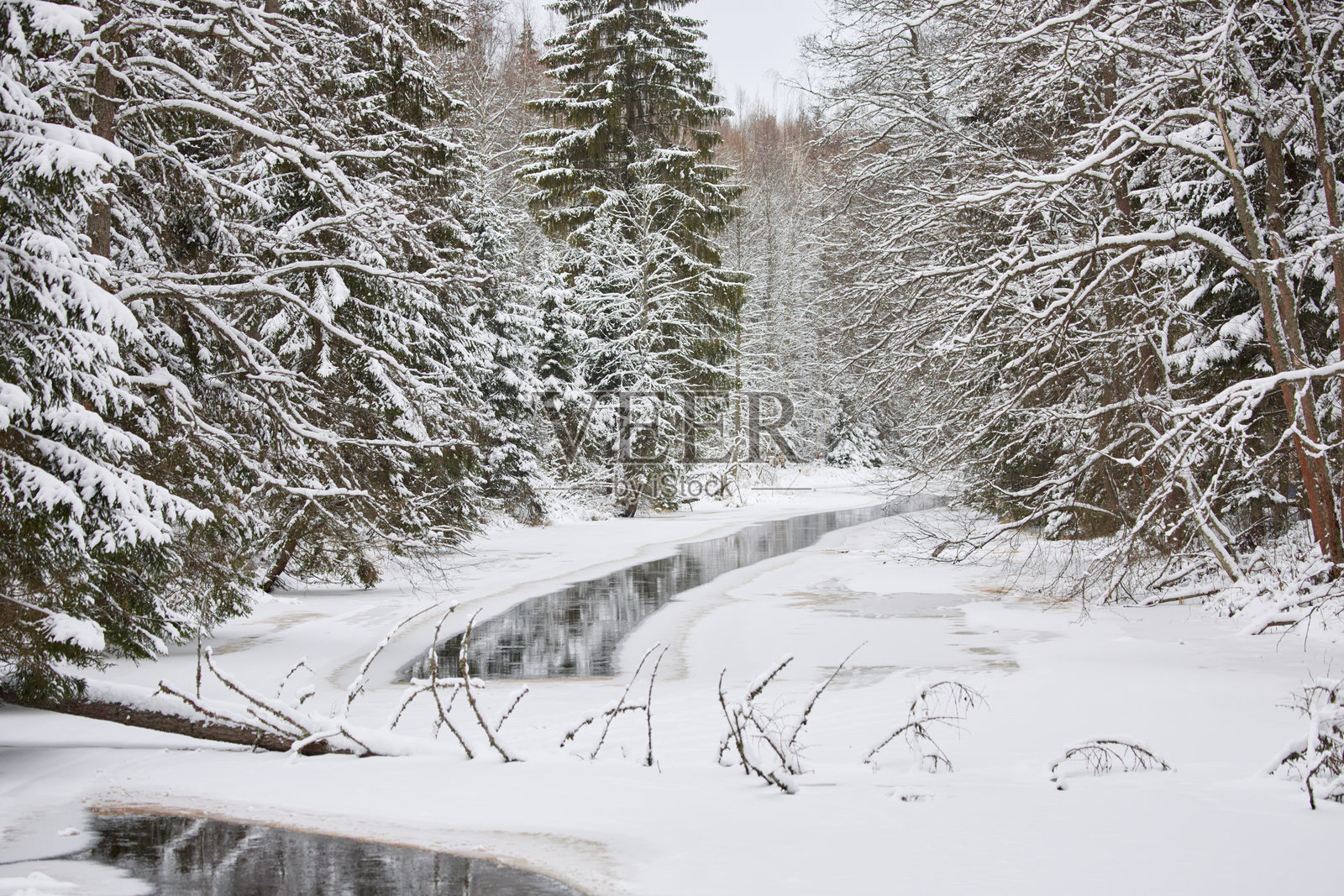 雪林中一条宁静蜿蜒的河流，林中树木覆盖着白雪，宁静祥和，水面映照着景物，无人迹照片摄影图片
