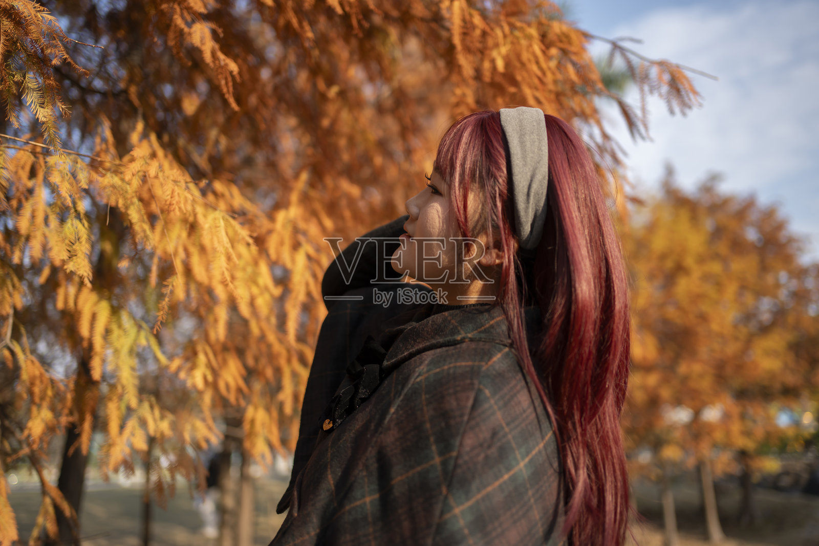 一位美丽的女子在红杉林中开怀大笑照片摄影图片
