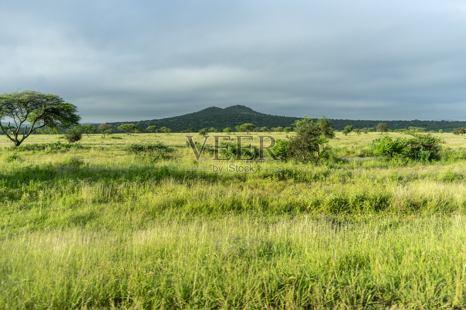 穿越坦桑尼亚辽阔的草原照片摄影图片
