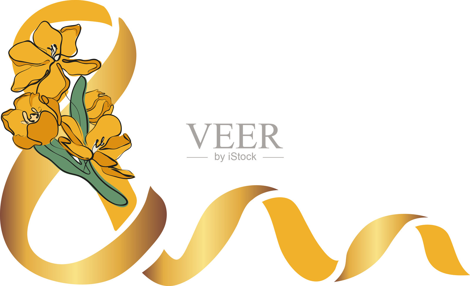 八朵带黄郁金香的丝带插画图片素材
