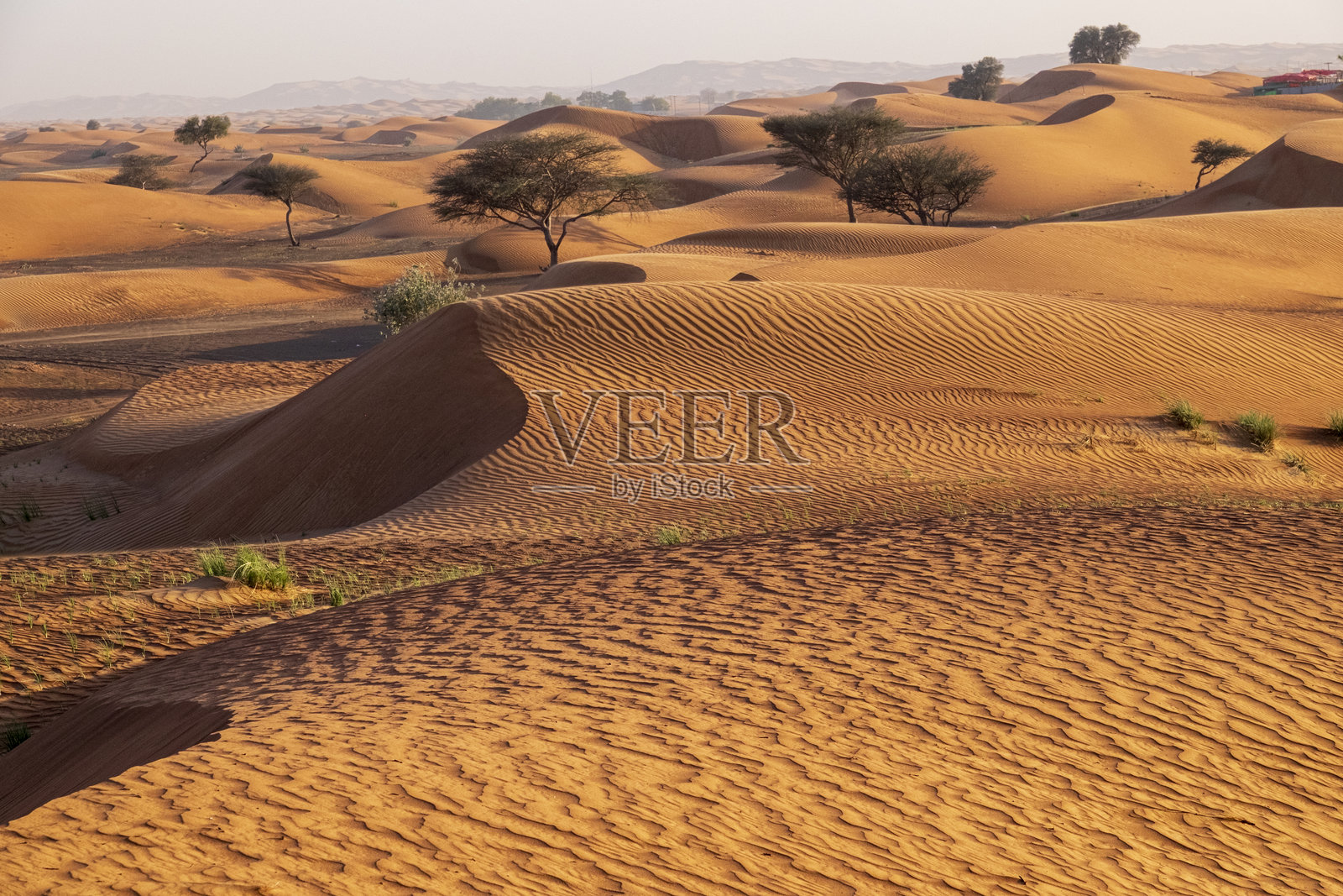 阿拉伯联合酋长国，阿联酋。迪拜。迪拜沙漠沙丘，是四驱车冲沙和沙漠探险的热门地点。照片摄影图片