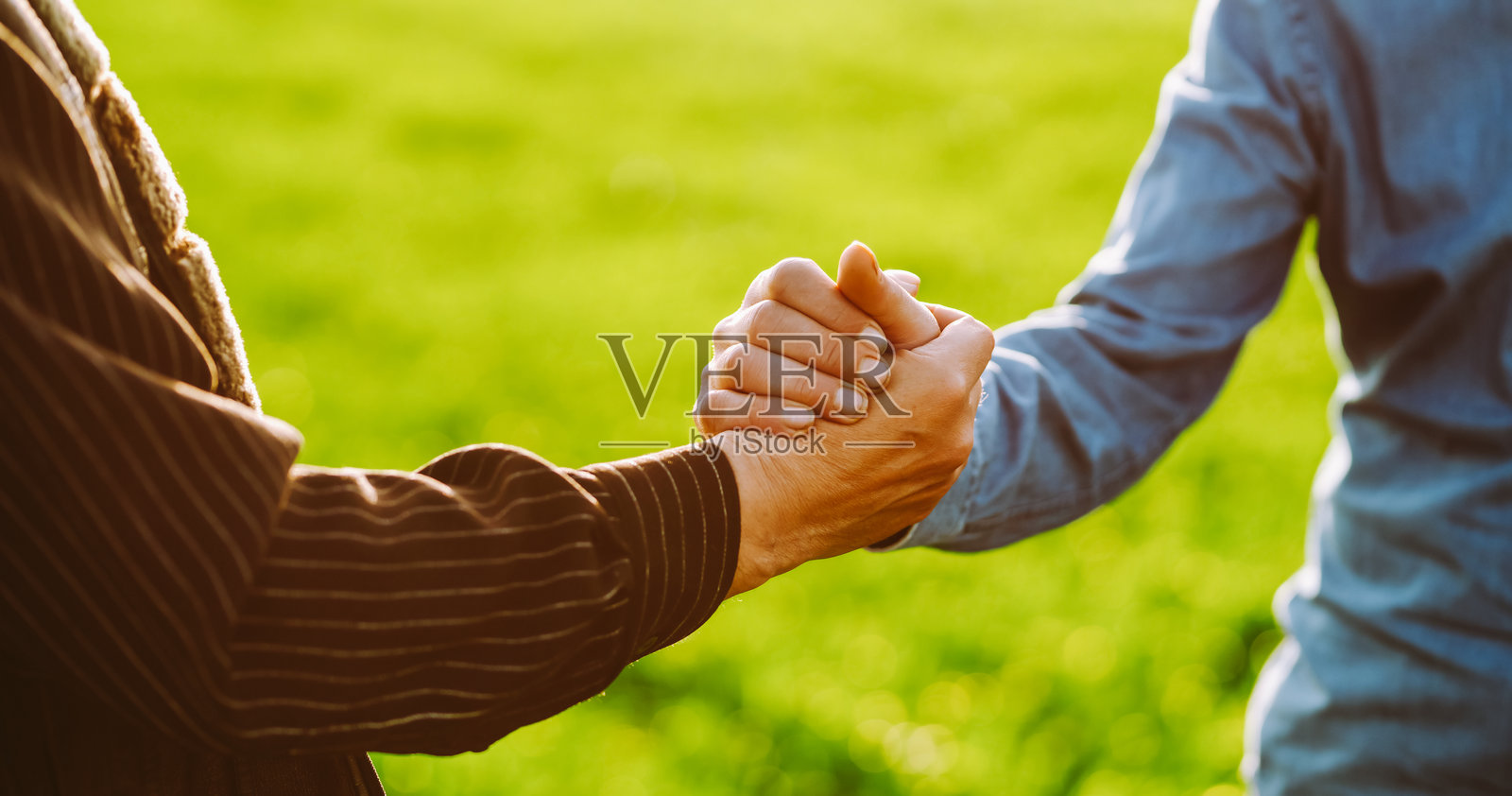 特写镜头：两位农民在绿色的农田背景下握手。照片摄影图片