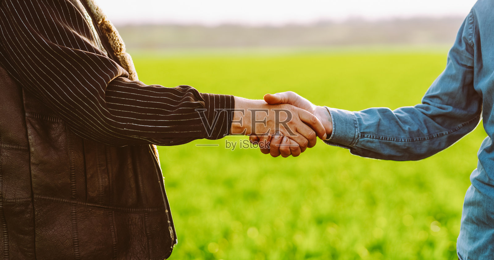 特写镜头：两位农民在绿色农田背景下握手。照片摄影图片