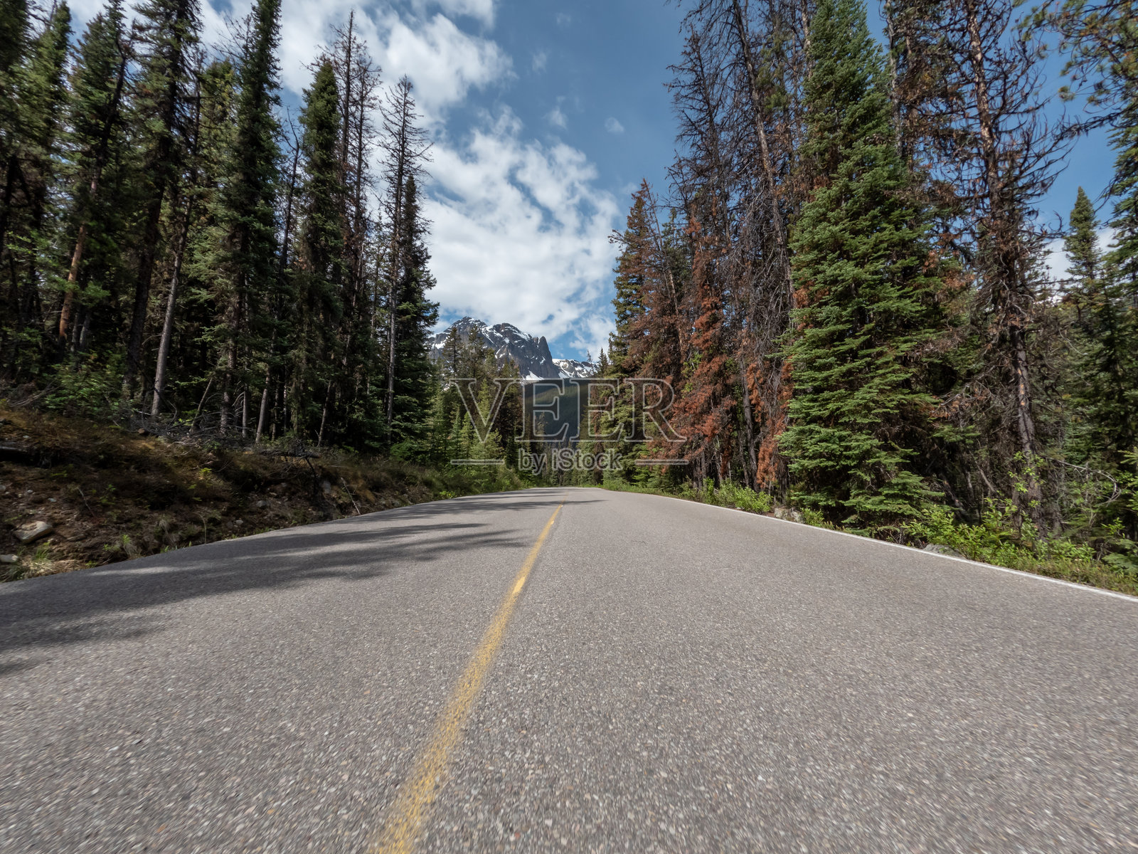 第一人称视角，夏日驾车行驶在加拿大落基山脉的空旷道路上，加拿大照片摄影图片