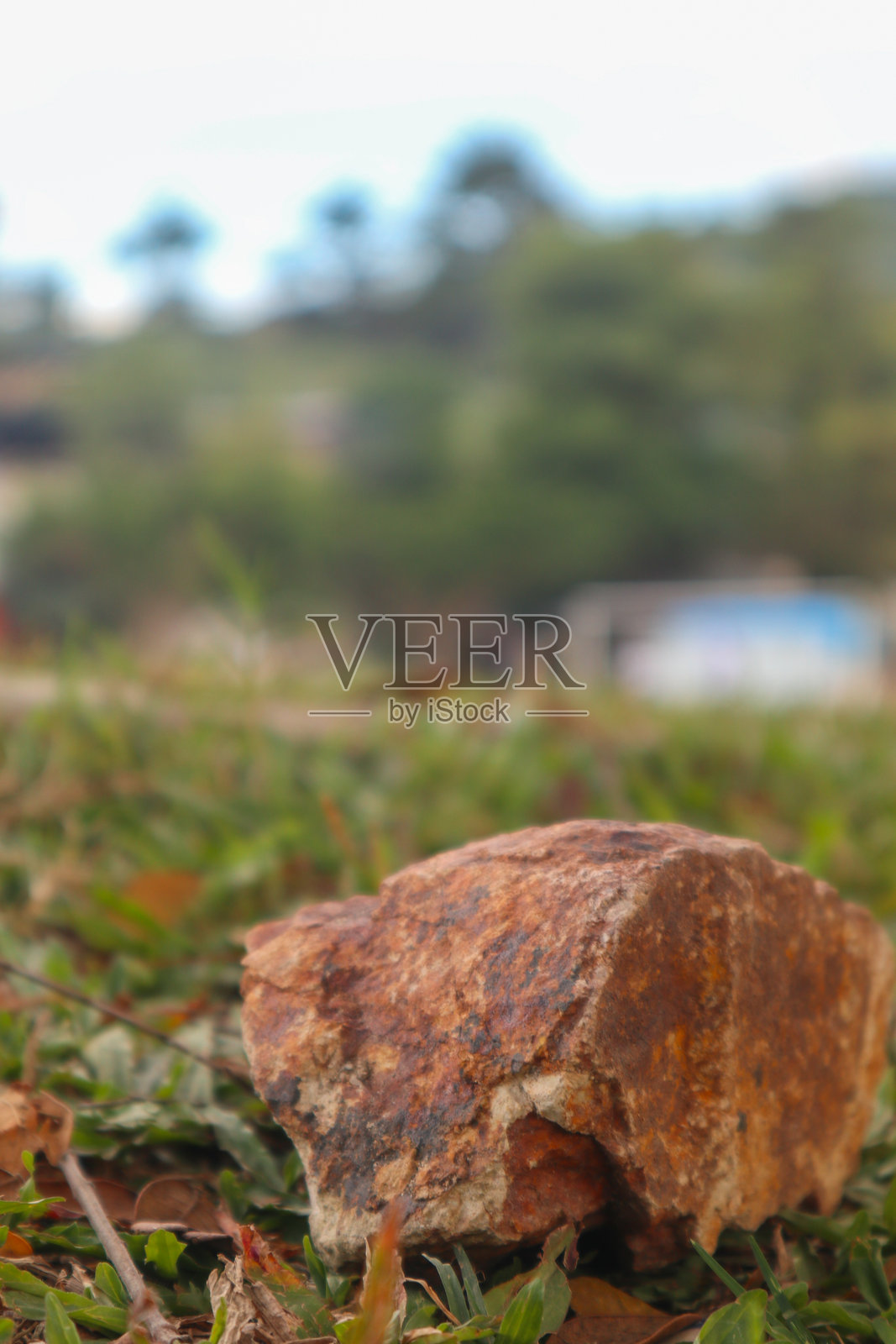 草地上的石头特写照片摄影图片