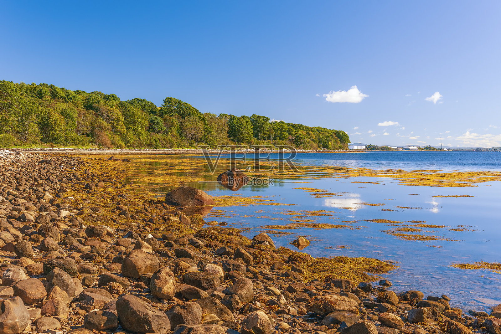 美国缅因州莫斯角州立公园的彭诺布斯科特湾岩石海岸线。照片摄影图片