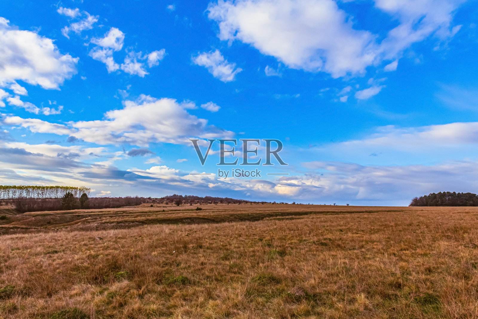 风景, 森林,喀尔巴阡山脉, 欧洲自然风光, 东欧照片摄影图片