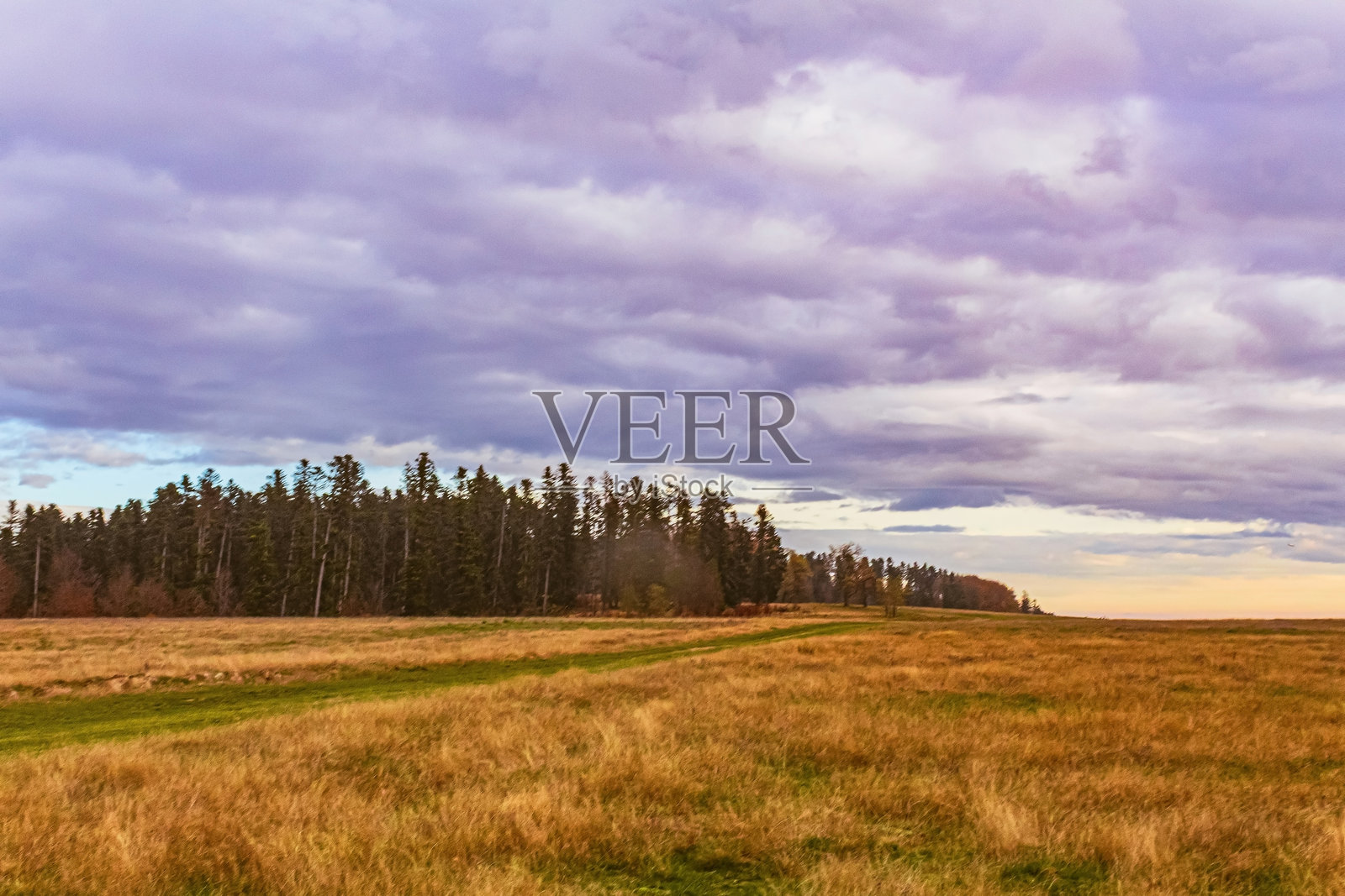 风景，森林，喀尔巴阡山脉，自然风光 - 欧洲，东欧照片摄影图片