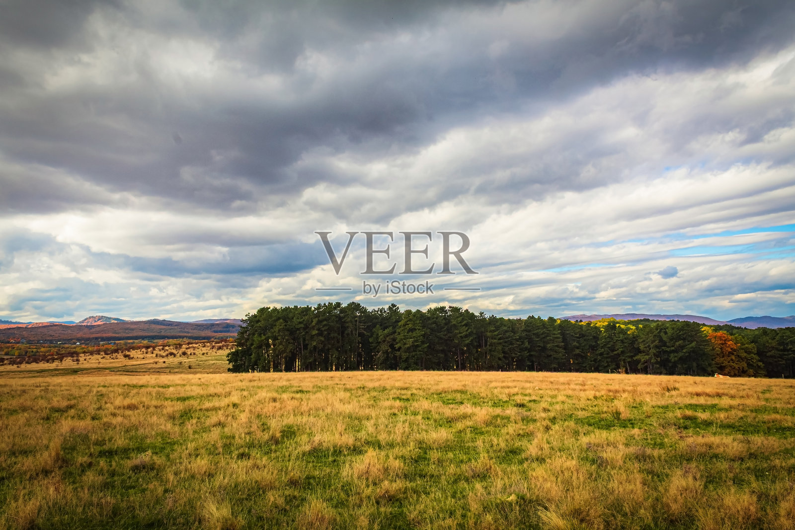 自然风光，森林，喀尔巴阡山，欧洲自然风光，东欧照片摄影图片