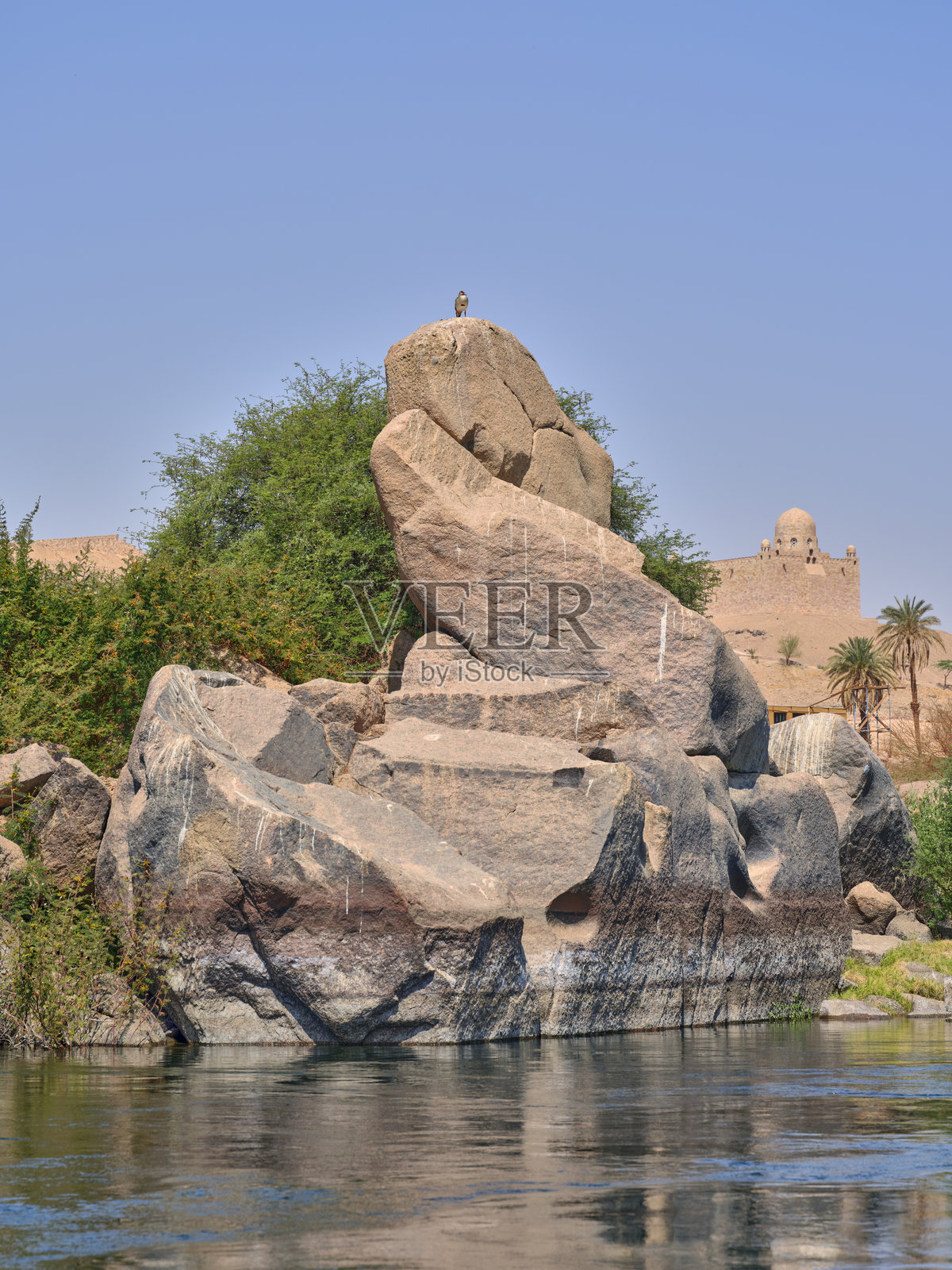 尼罗河畔，古埃及建筑旁，一只孤鸟栖息在岩石上。照片摄影图片