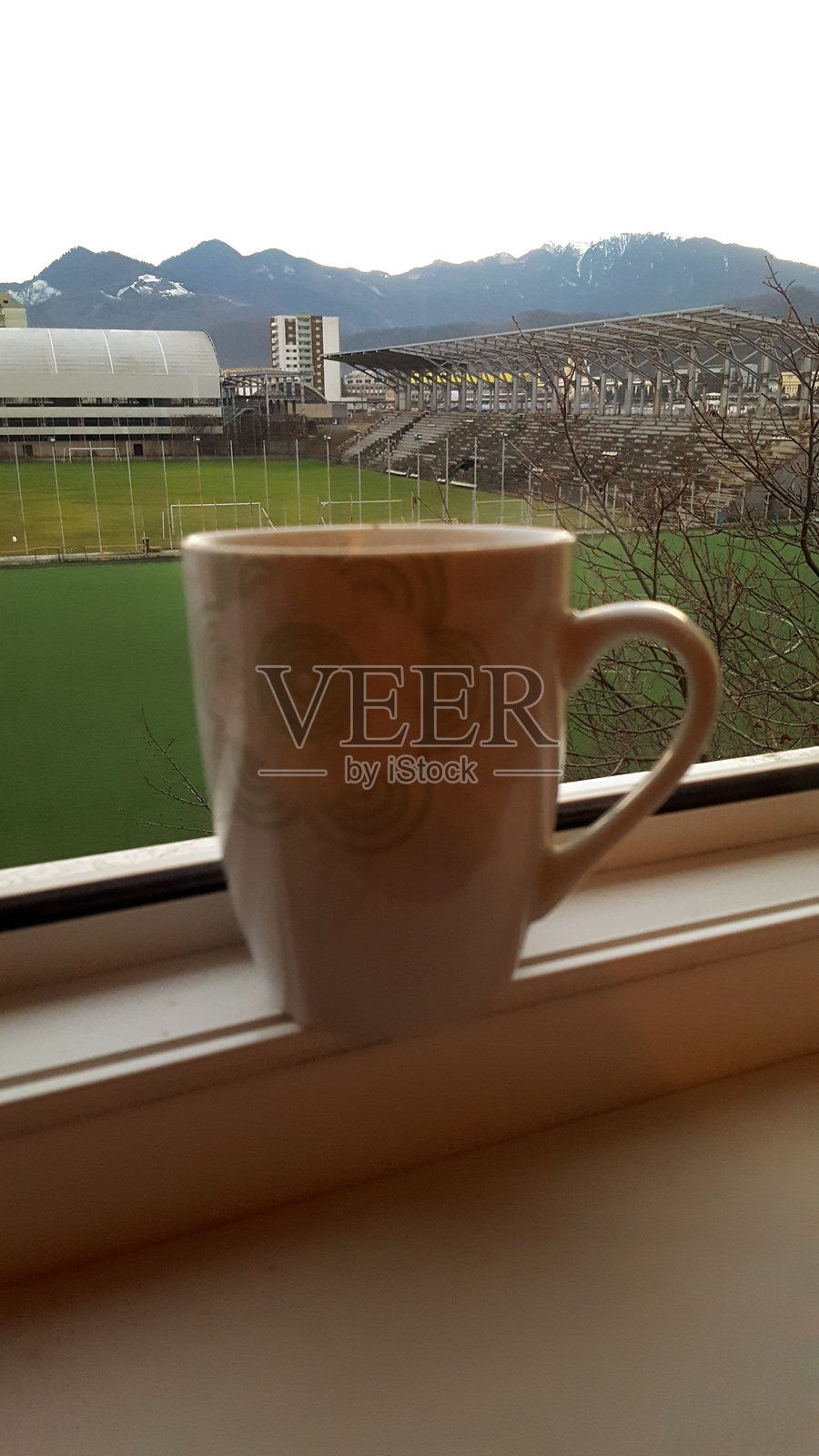 圣诞节，家庭时光，传统食物，节日照片摄影图片