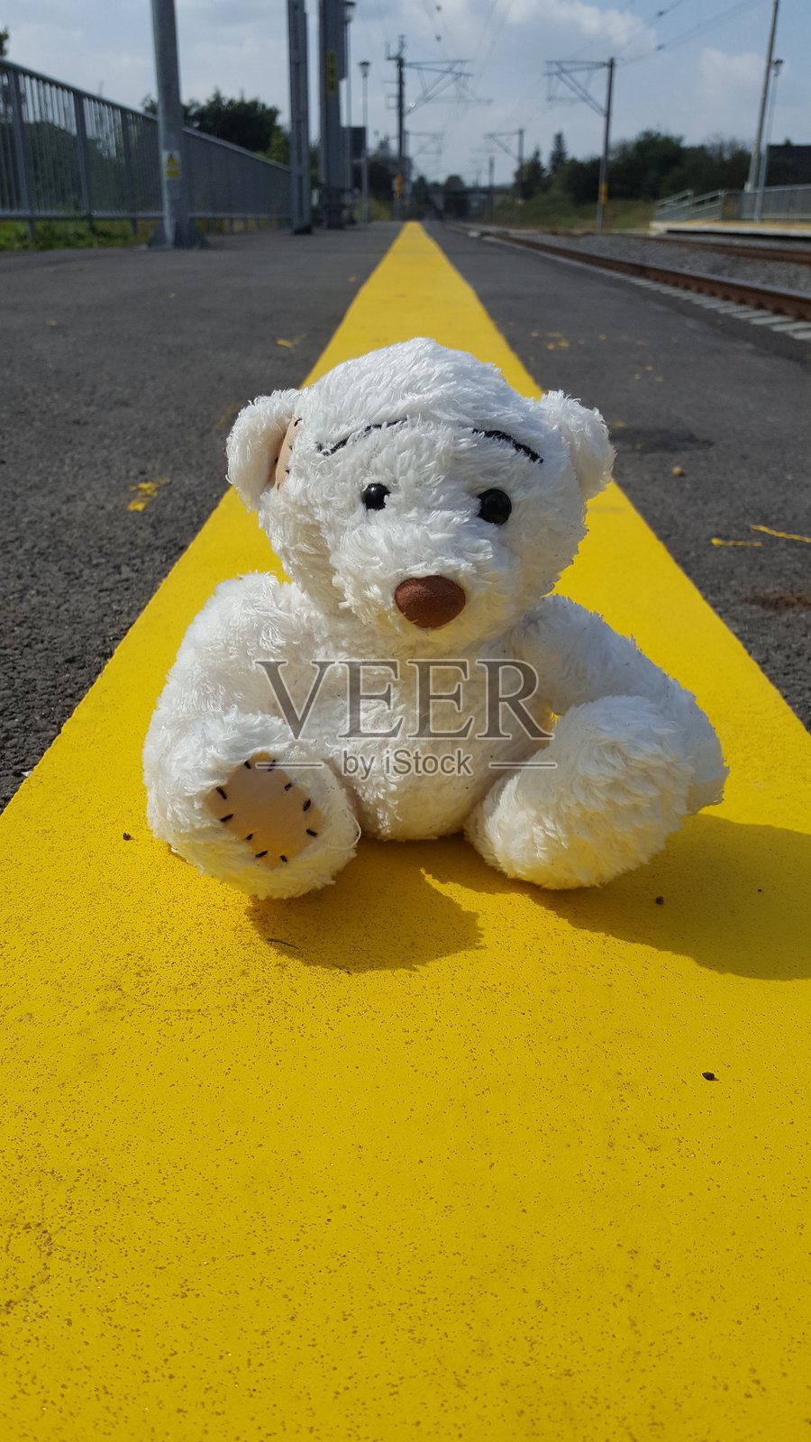 圣诞节，家庭时光，传统食物，节日照片摄影图片