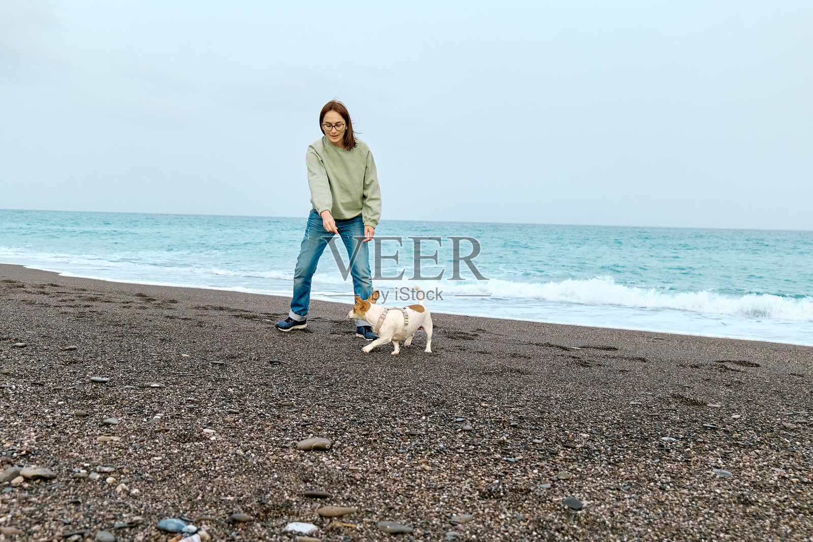 一位女士在中等季节的海滩上与她的杰克罗素梗犬共度时光，训练并与其玩耍。照片摄影图片