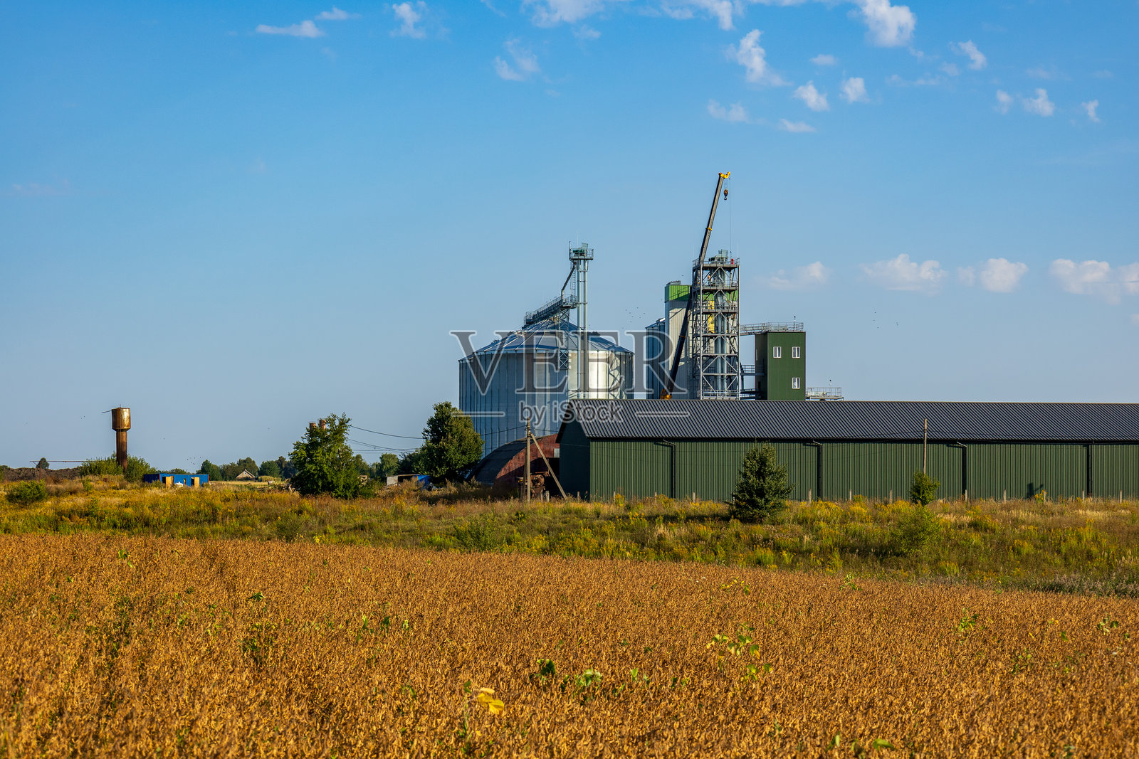 巨大的谷仓耸立在金色的田野之上，在阳光明媚的风景中展示了农业行业对谷物储存和加工的投入照片摄影图片
