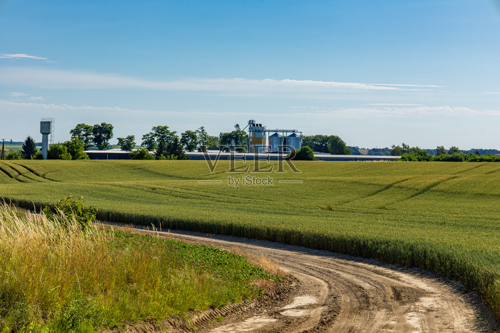 金色的谷物在微风中轻轻摇曳，粮仓高高耸立，展现了如画乡村的农业生活之美照片摄影图片