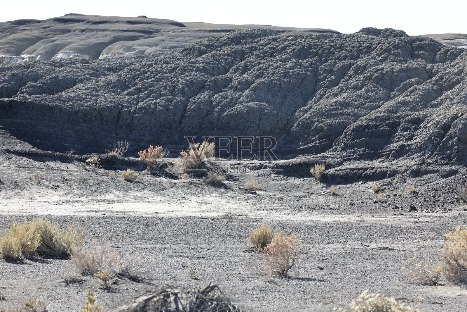 比斯蒂荒野区，新墨西哥州照片摄影图片