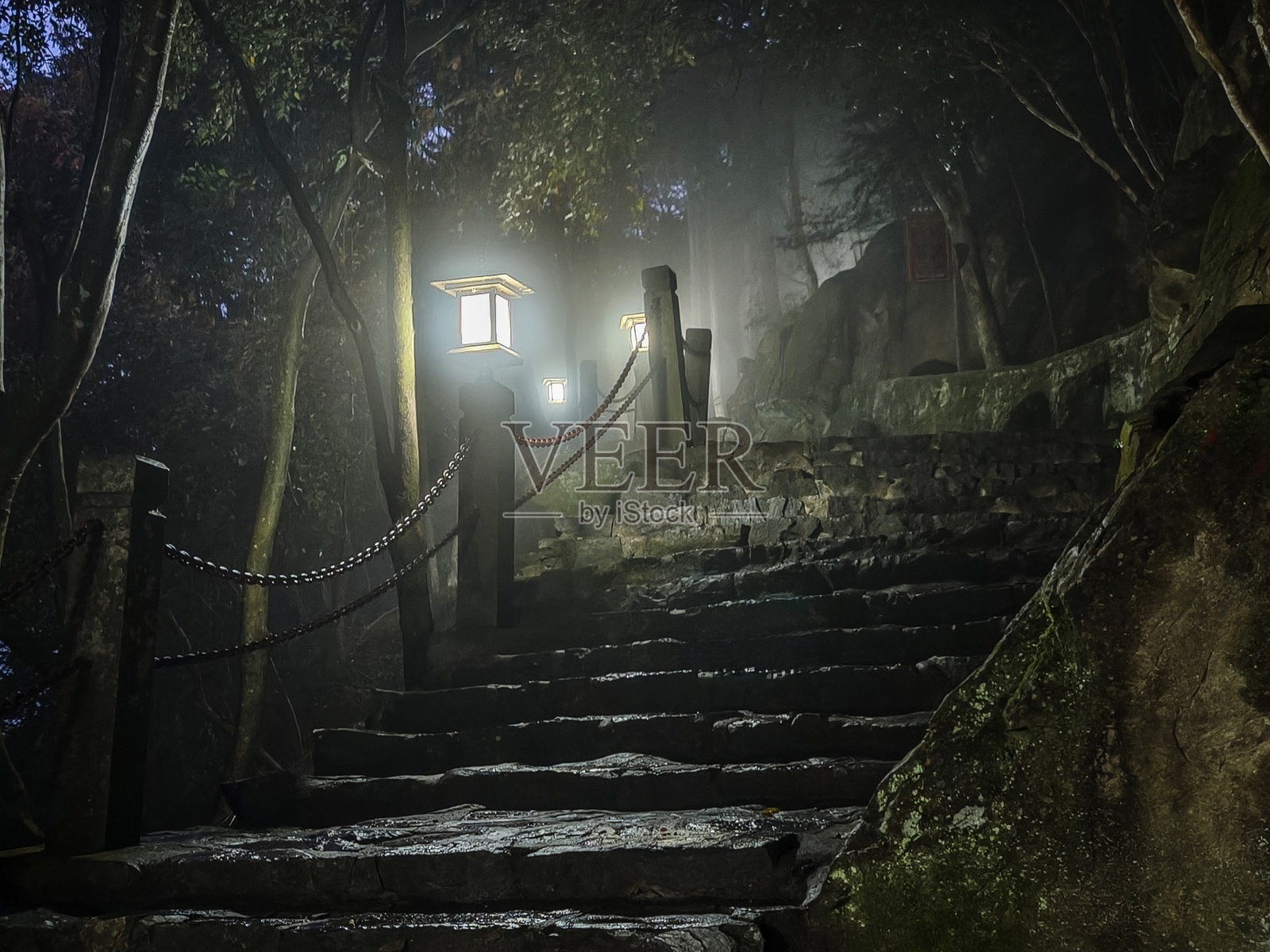 夜间的精神之旅：圣林中的光亮小径照片摄影图片