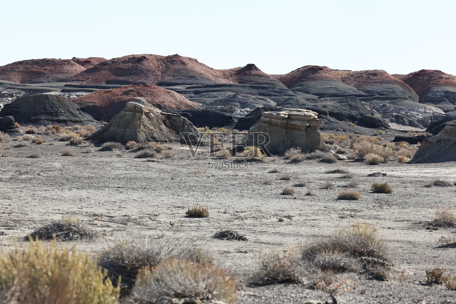 比斯蒂荒野区，新墨西哥州照片摄影图片