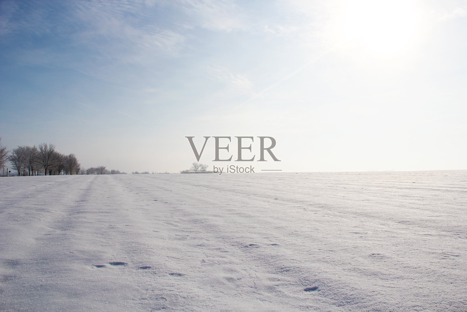 塞尔维亚伏伊伏丁那潘诺尼亚平原上覆盖着冰雪的冬季农田照片摄影图片