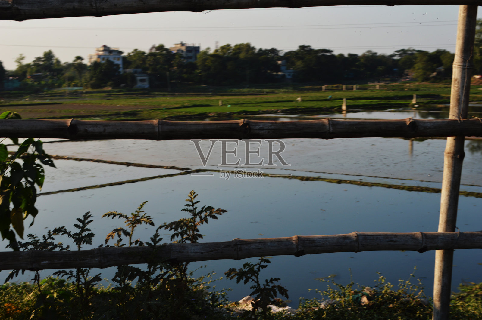 宁静的乡村景观，有水道和田野照片摄影图片