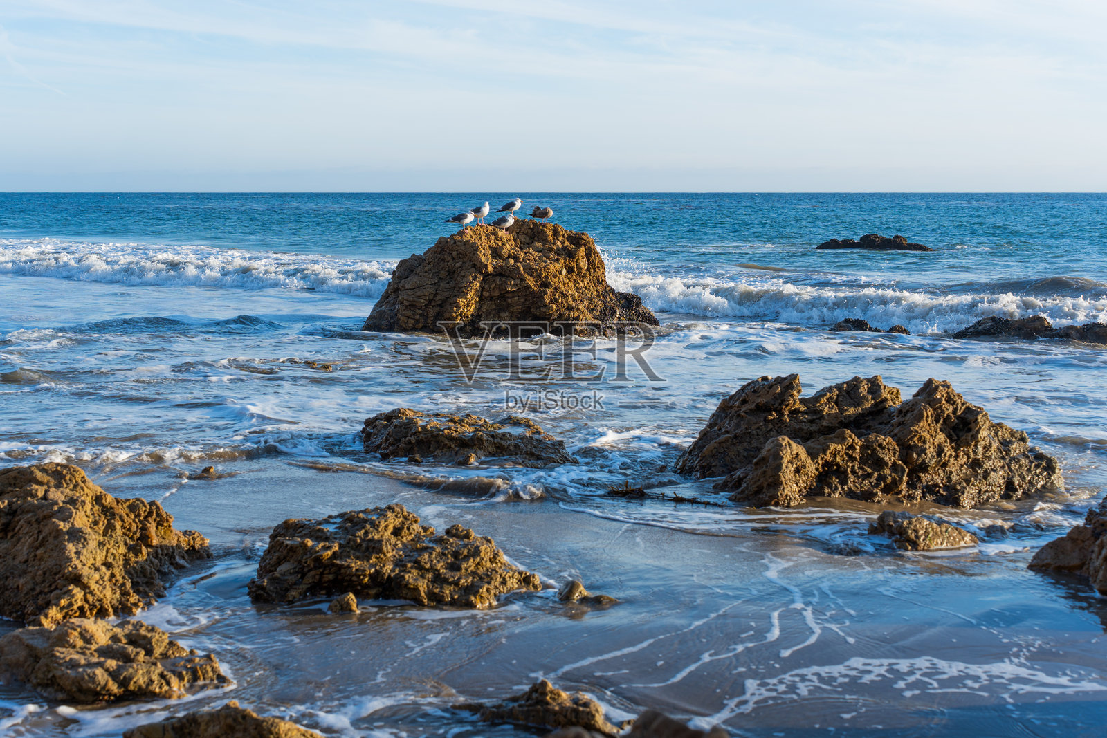埃尔马塔多州立海滩崎岖海岸的美景与海鸥照片摄影图片