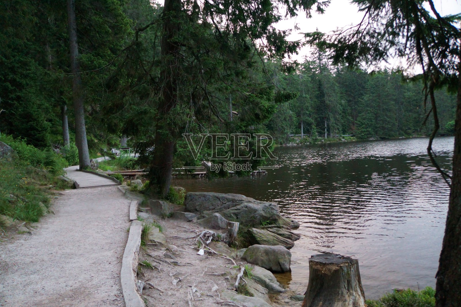 宁静湖泊旁的森林小径照片摄影图片