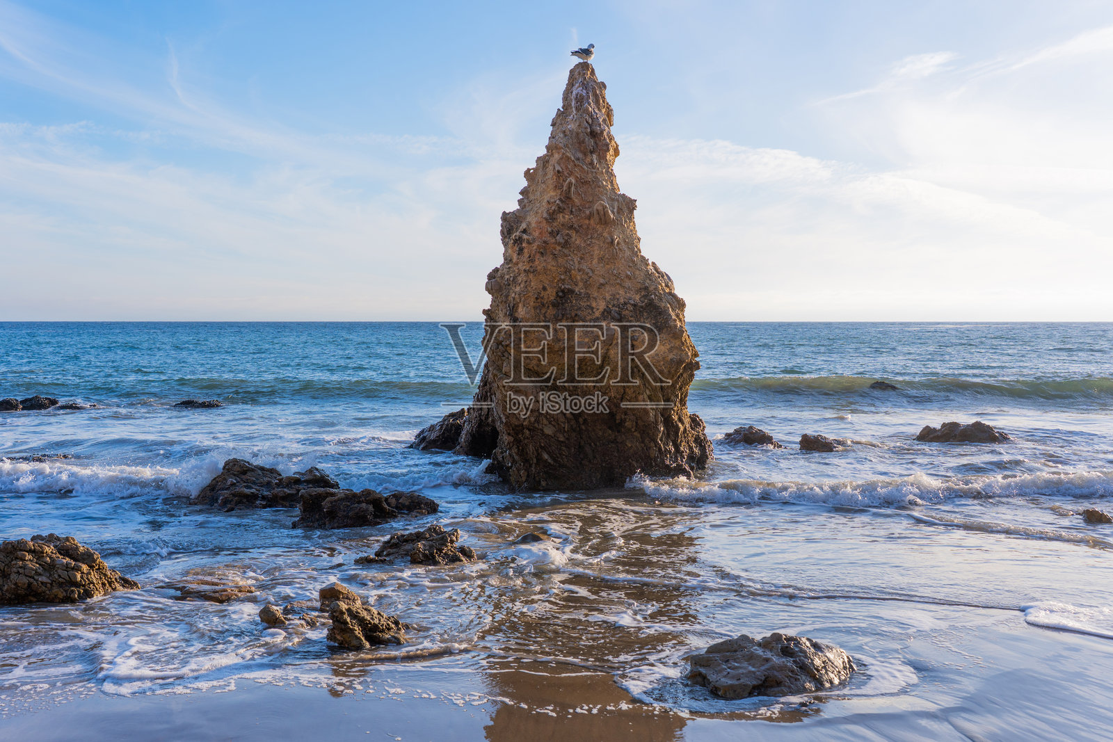 加州海滩上，孤单的海鸥栖息在雄伟的海蚀柱上照片摄影图片