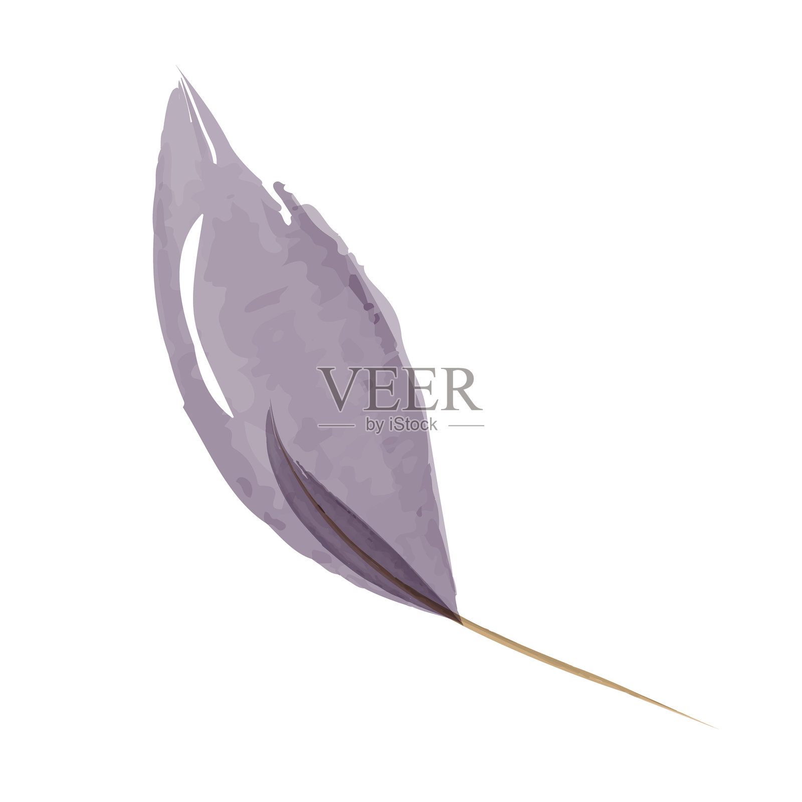 优雅的紫色水彩叶子设计，带有精致的茎插画图片素材