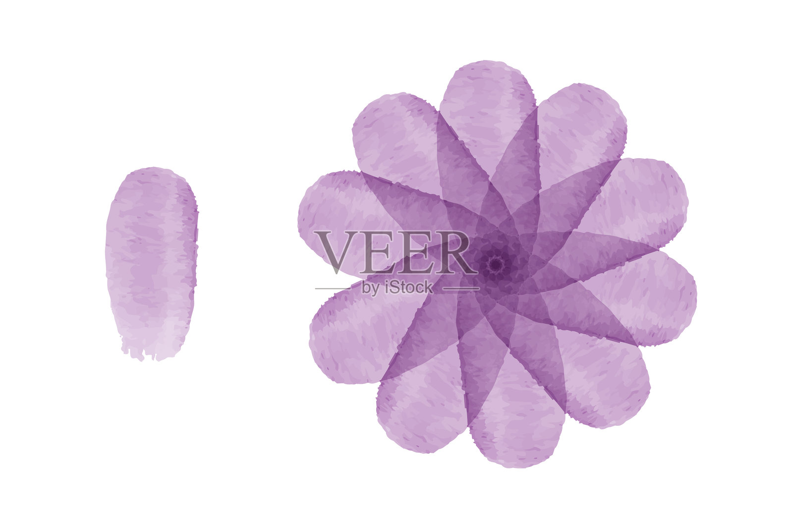 白底紫色水彩花卉和花蕾插画图片素材