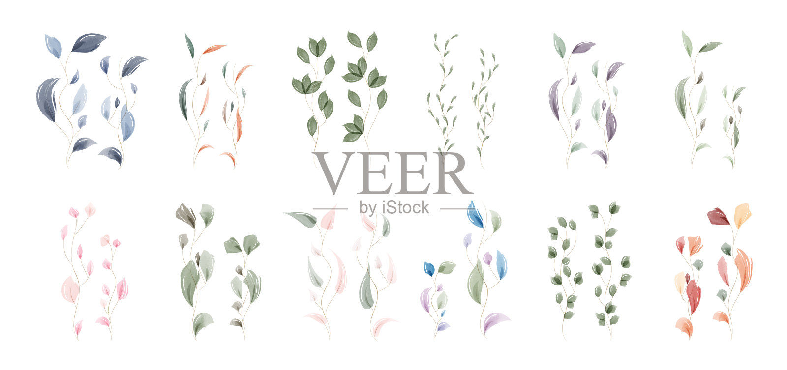 白色背景上的艺术水彩植物元素集合插画图片素材