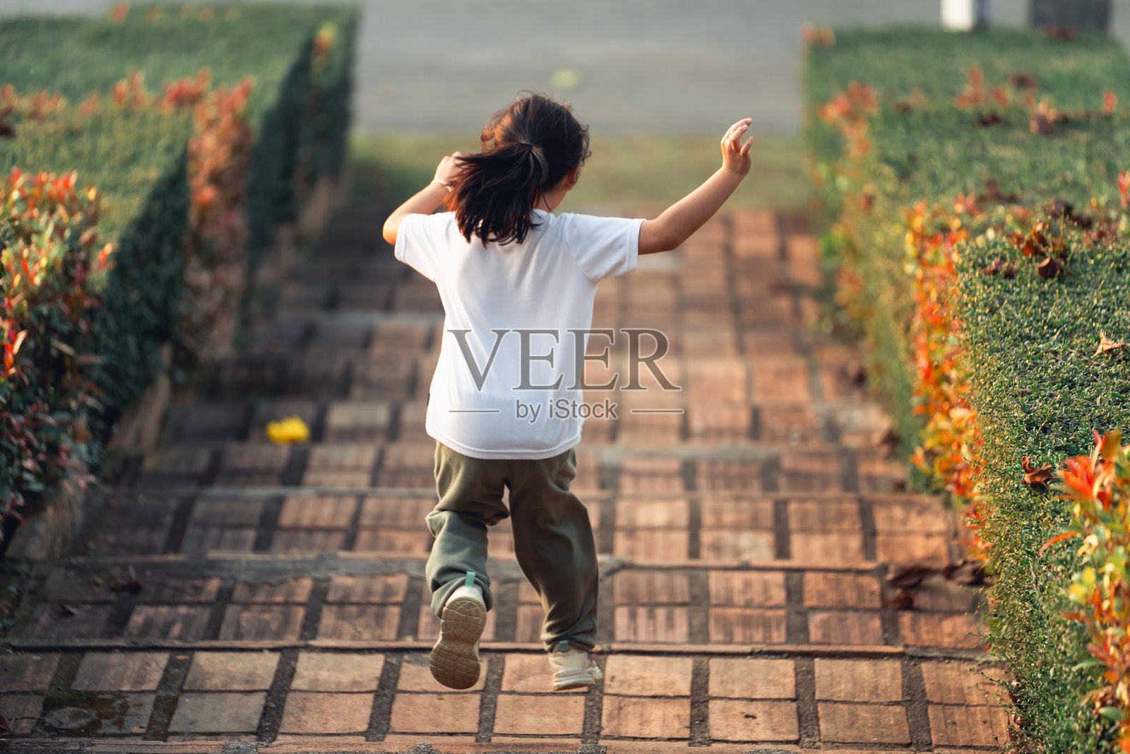 一个孩子在花园台阶上快乐地奔跑，两侧是鲜艳的绿叶，宁静的户外环境中捕捉到一张快乐的脸庞，无忧无虑的瞬间照片摄影图片