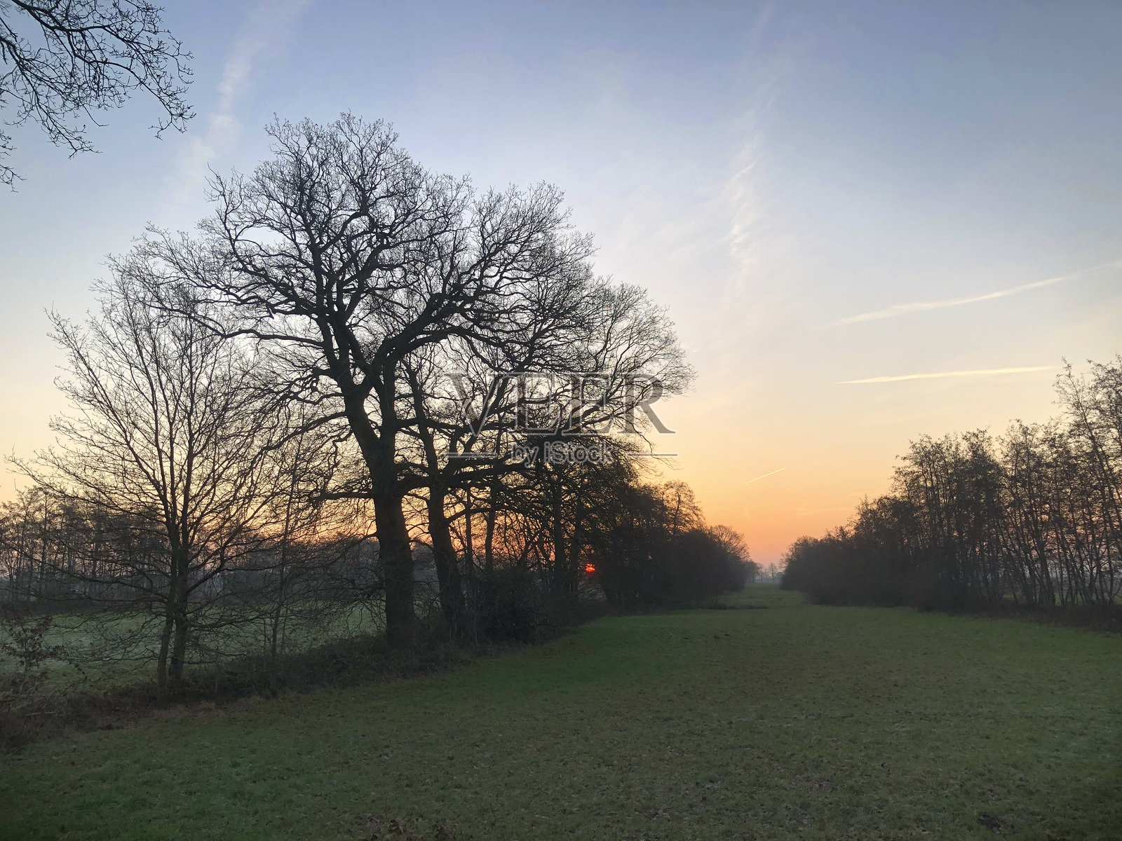 荷兰德伦特省乌费尔特乡村冬季日出景观照片摄影图片