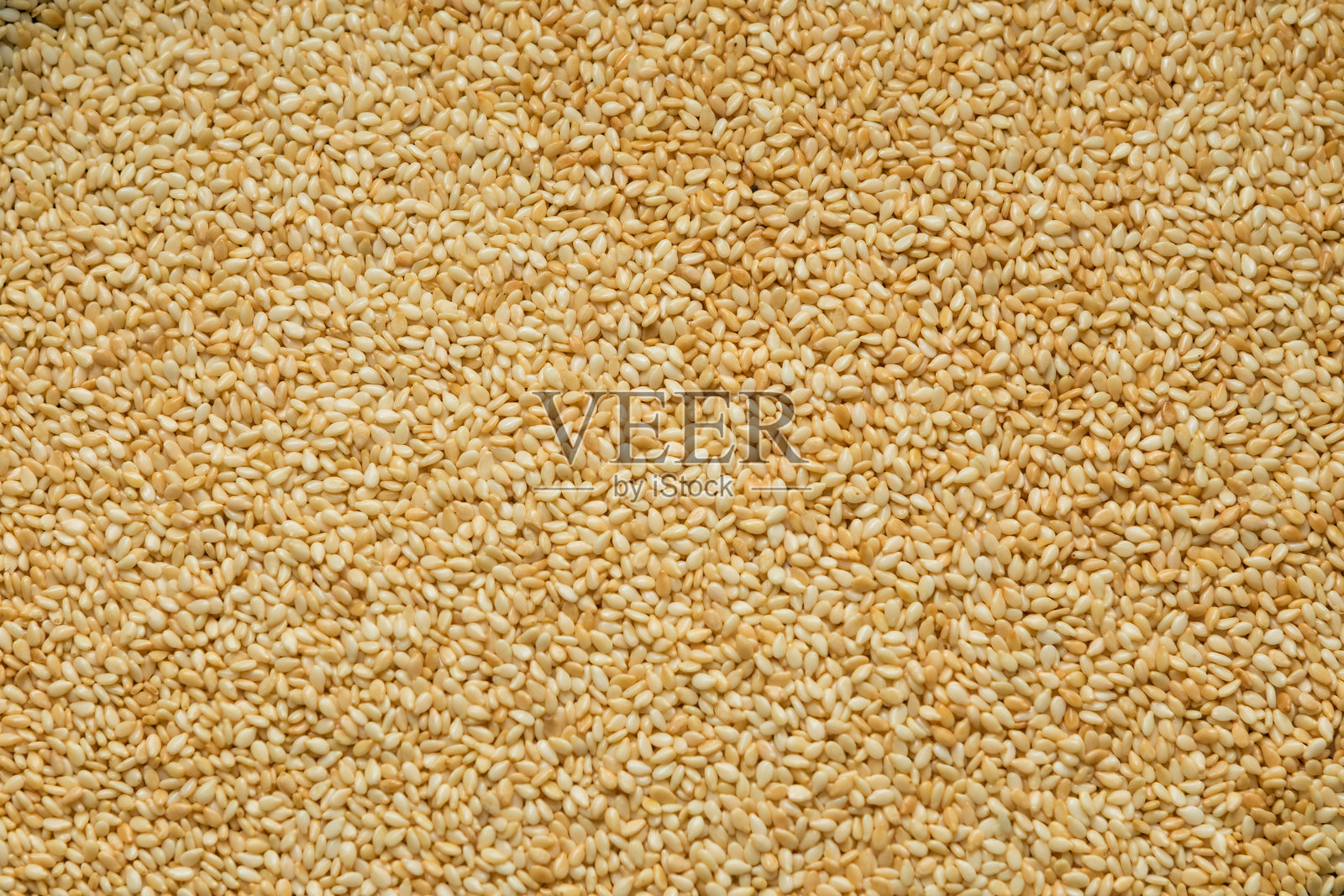 特写镜头下的烤白芝麻，突出其金黄的色泽和天然的质感，常用于亚洲菜肴的调味和食材。照片摄影图片