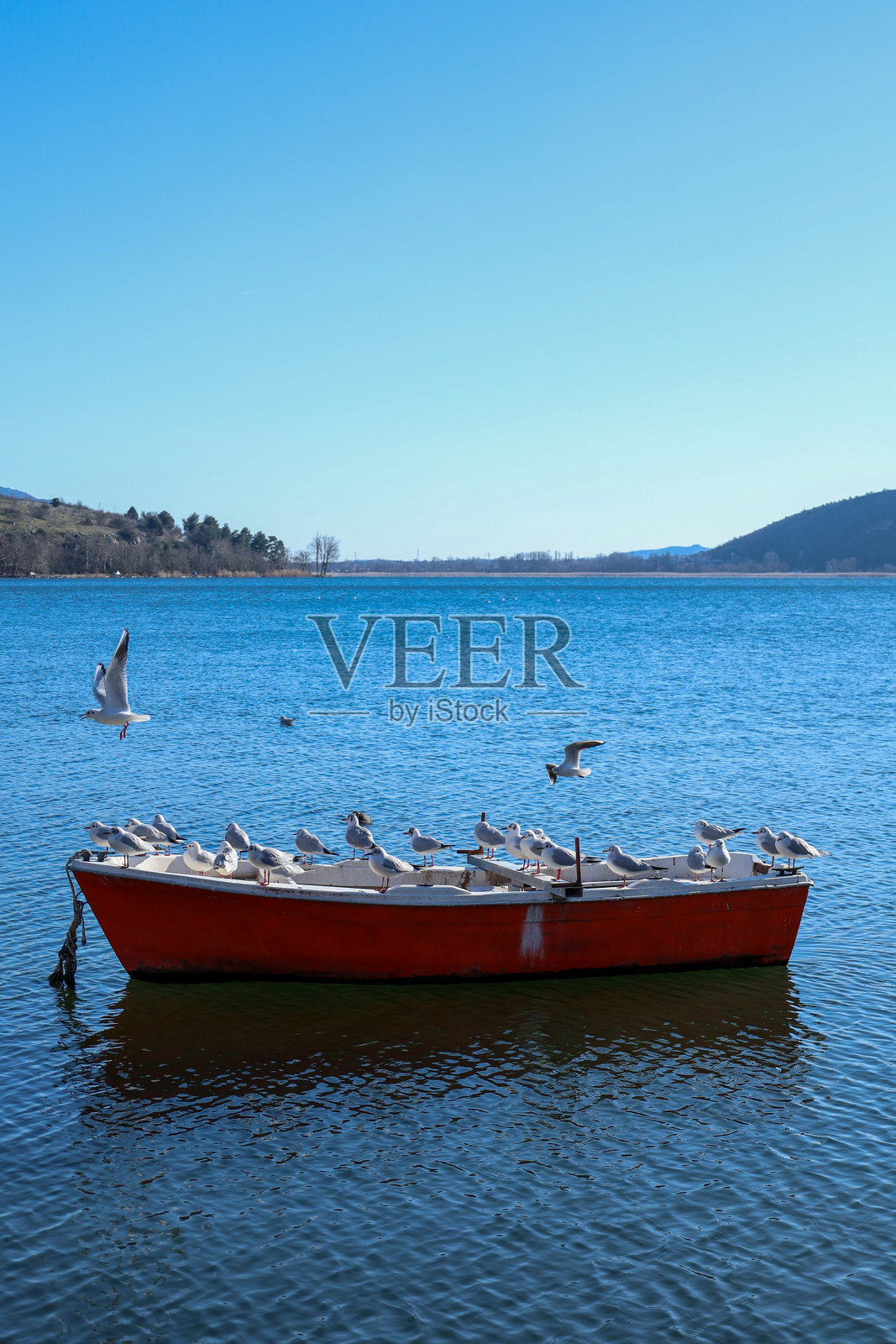 鸟儿在宁静的希腊湖泊上，有的在船上休息，有的在周围飞翔照片摄影图片