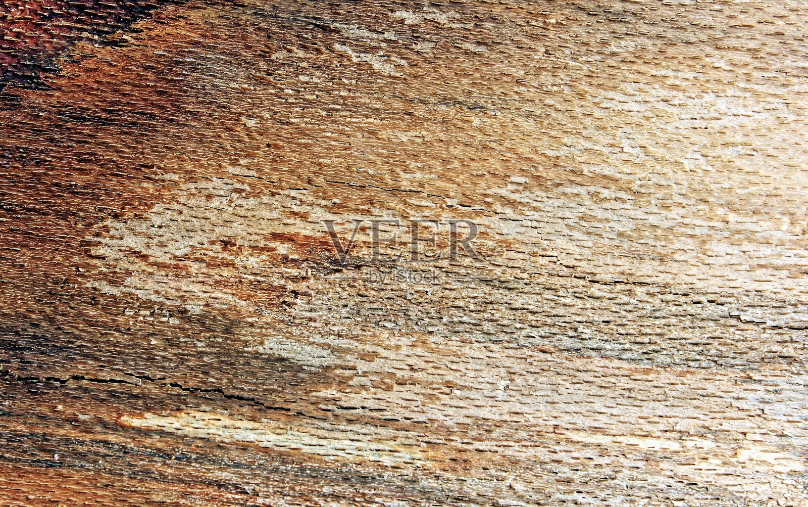 树皮纹理照片摄影图片