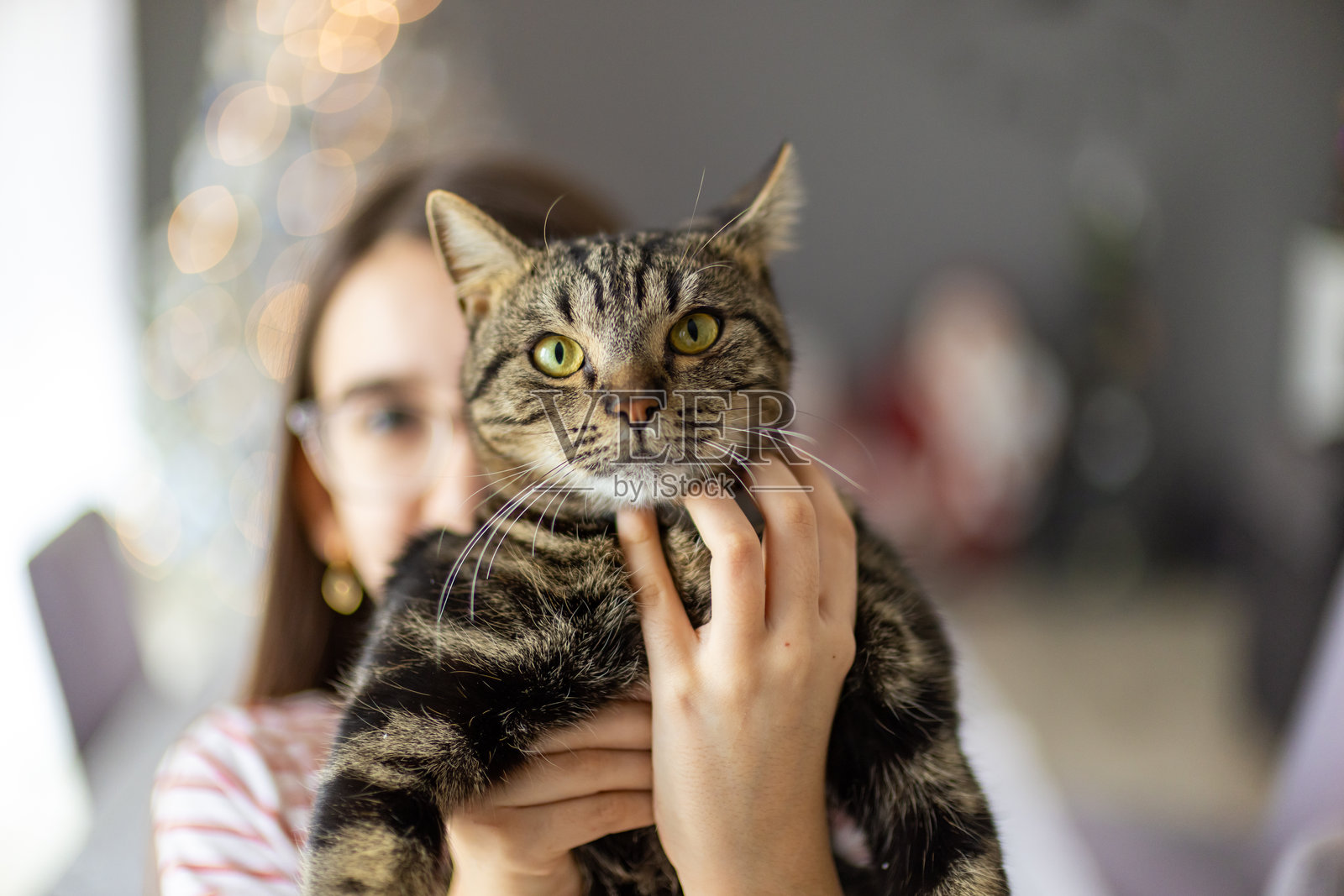 小女孩抱着小猫照片摄影图片