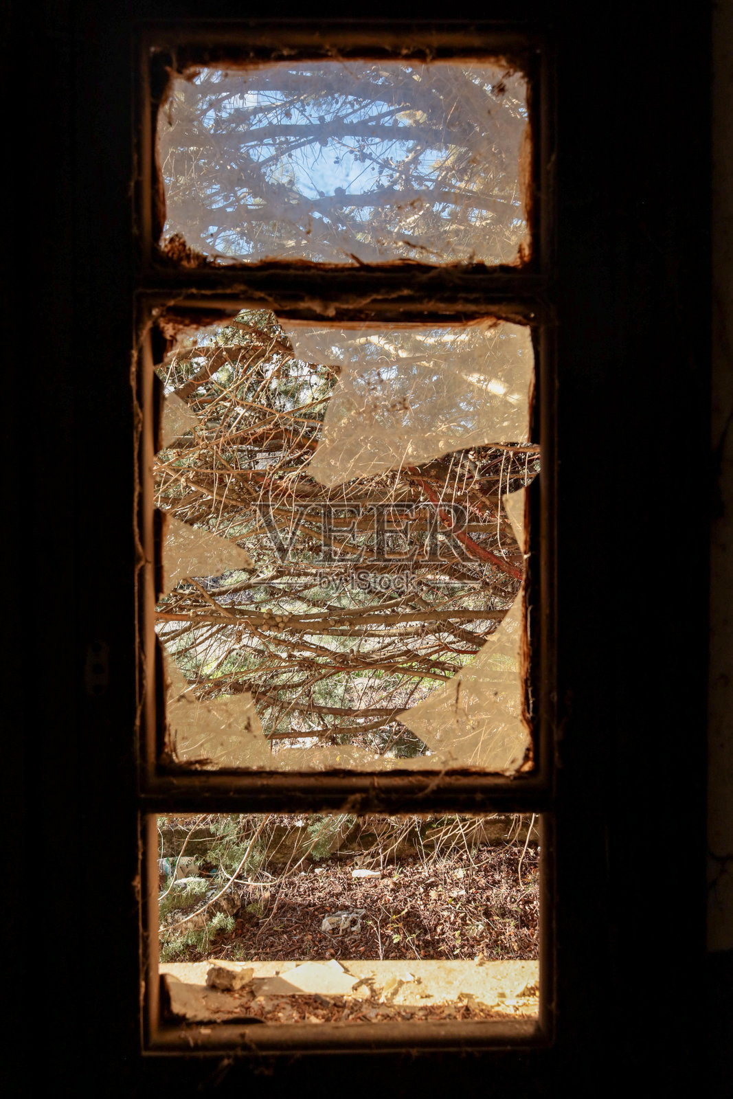 特写镜头：破碎布满灰尘的窗户，窗外是自然风光照片摄影图片