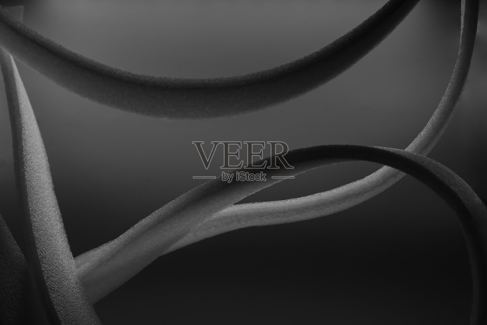 抽象画，白色曲线，光影交错，奇特曲线，意识投射，沉思照片摄影图片