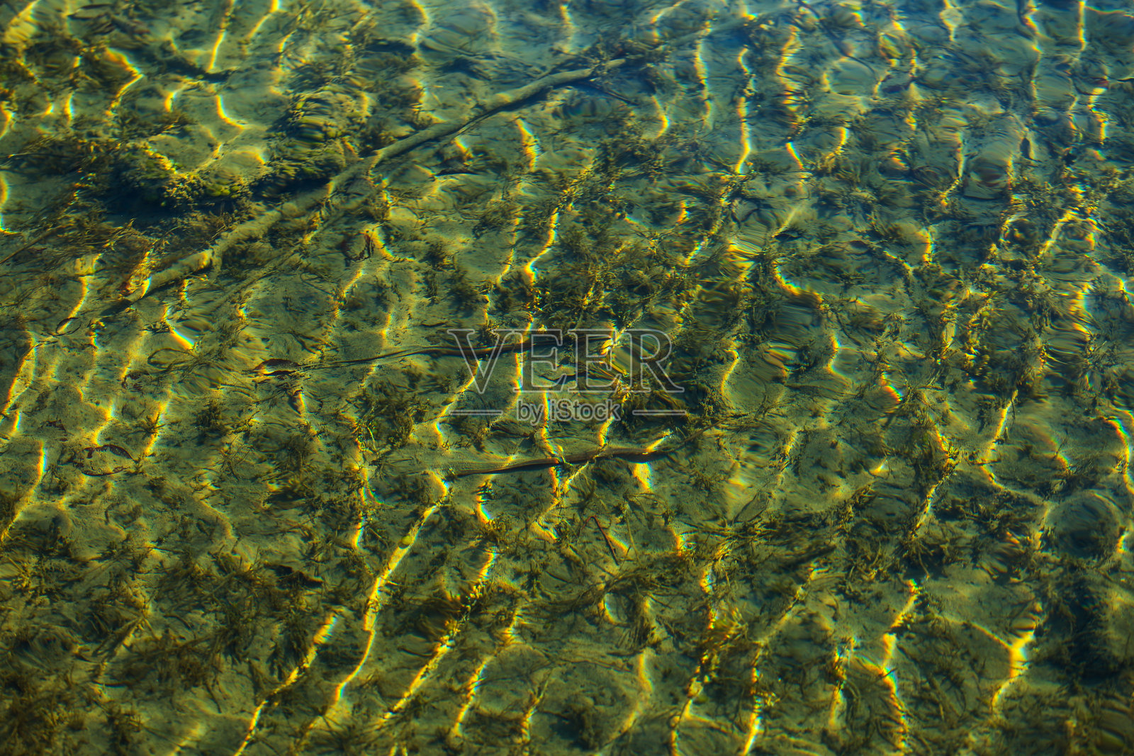 阳光反射和涟漪图案下泰根湖的清澈湖水照片摄影图片