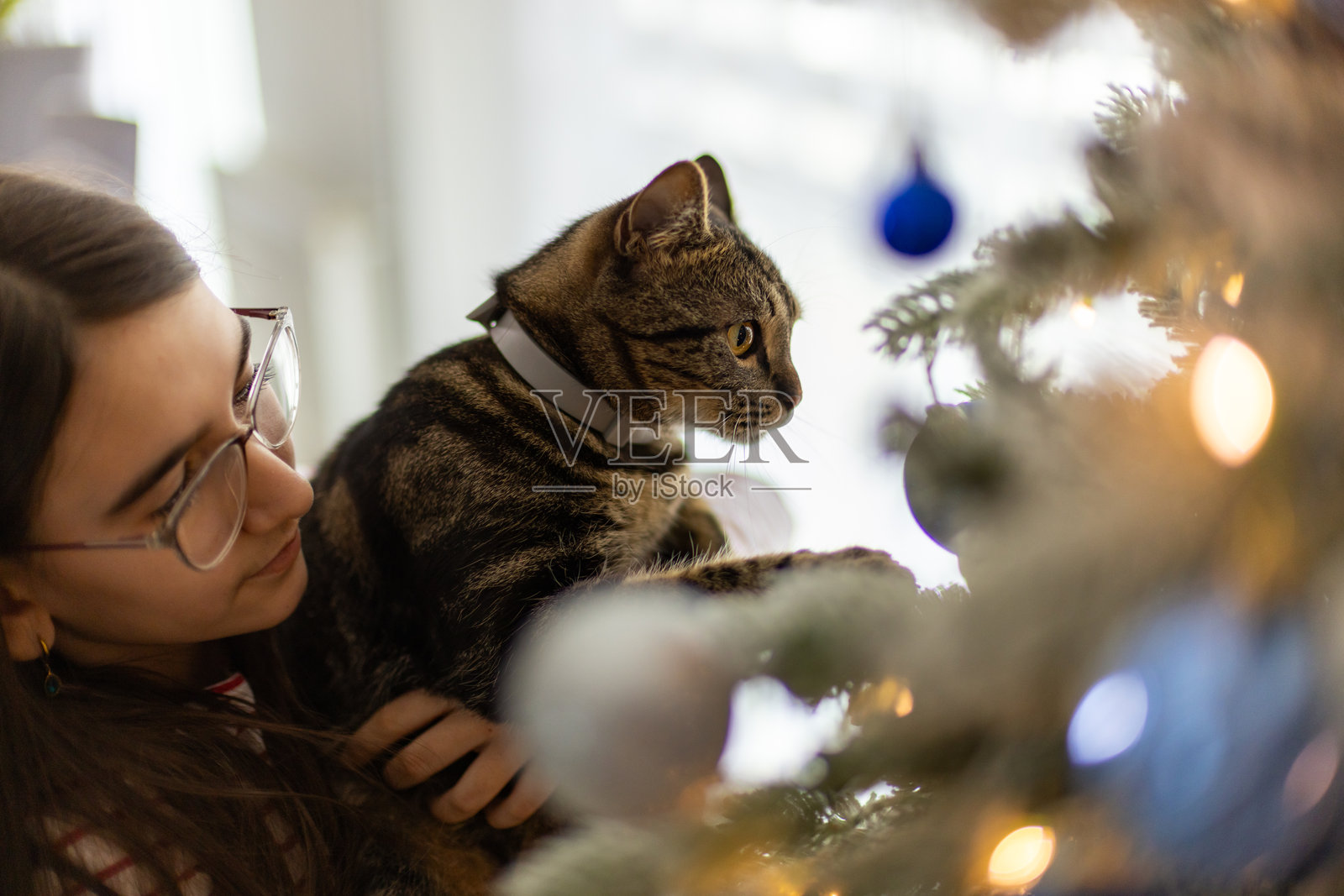 圣诞快乐照片摄影图片
