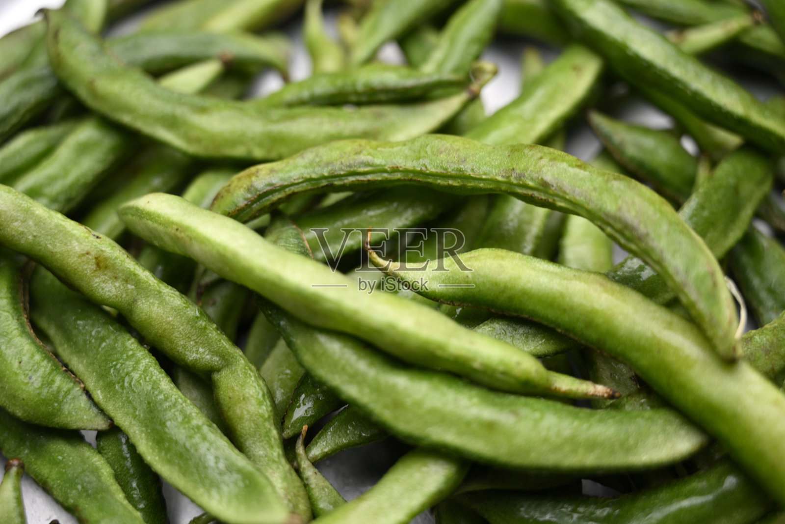 牵牛花豆（Hyacinth Bean）或称“SAME KI PHALLI”（Lablab Purpures），也称为“VALOR PAPDI”豆，背景纹理照片摄影图片