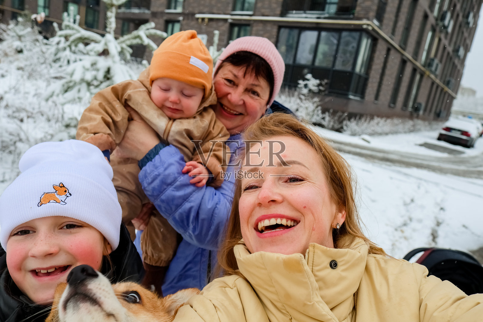 一家多代同堂的家庭在雪天与柯基犬一同享受冬日时光照片摄影图片