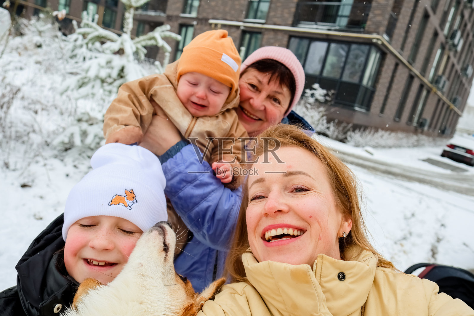一家多代人与柯基犬在雪中享受冬日时光照片摄影图片