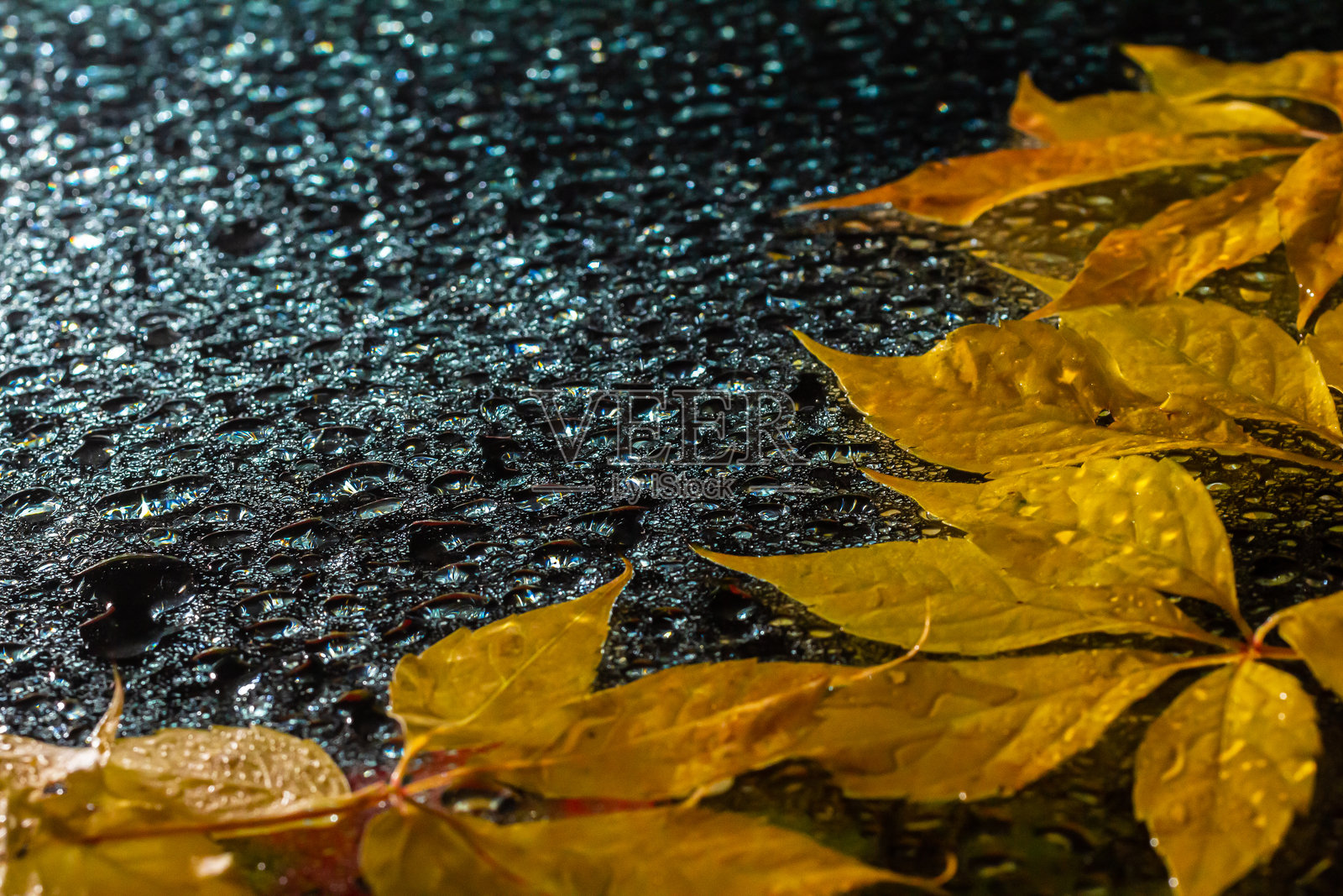 抽象背景：秋季玻璃水滴与黄色落叶照片摄影图片